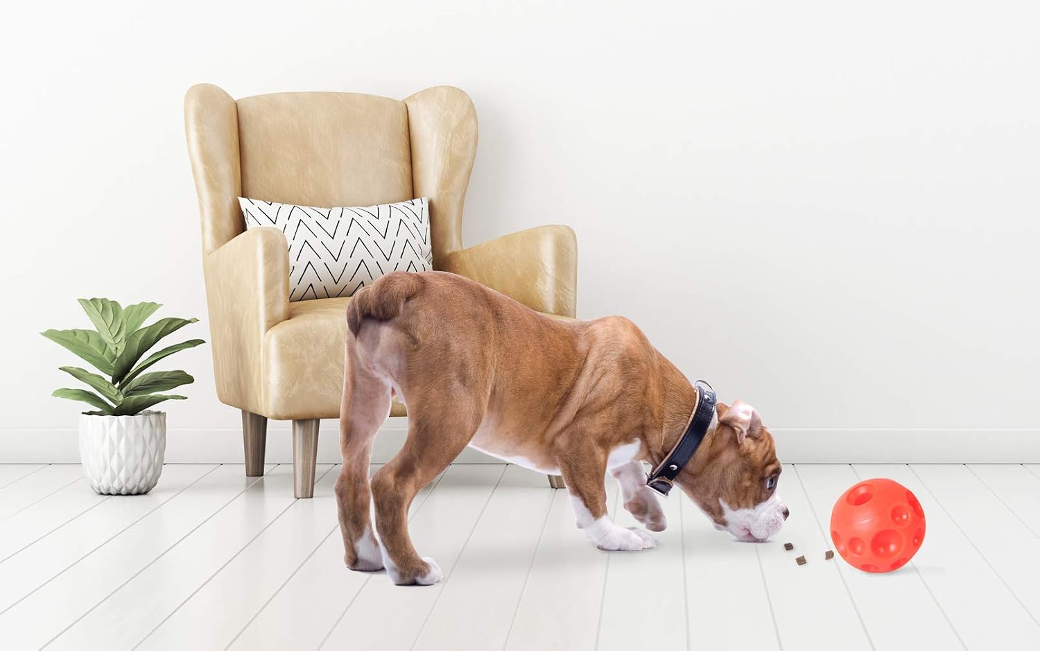 Omega Paw Authentic Tricky Treat Ball Large