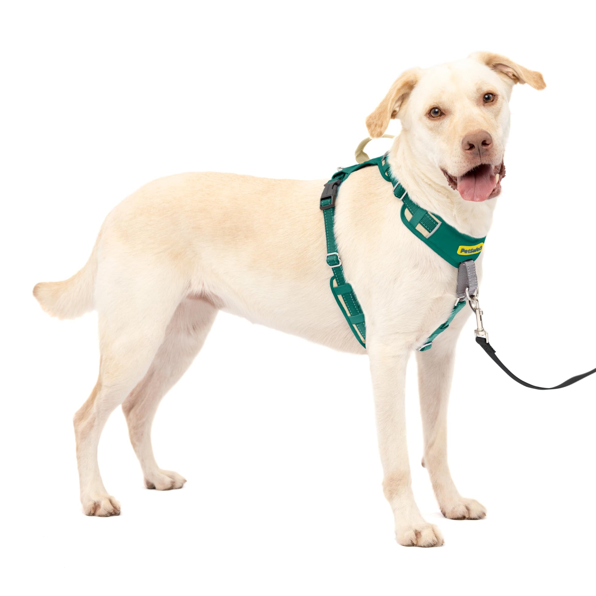 PetSafe Easy Walk Comfort No Pull Dog Harness, Green Gingham, Large | Stops Pulling on First Use with Front Martingale Loop, Padded Comfort, 5-Point Adjustable Fit