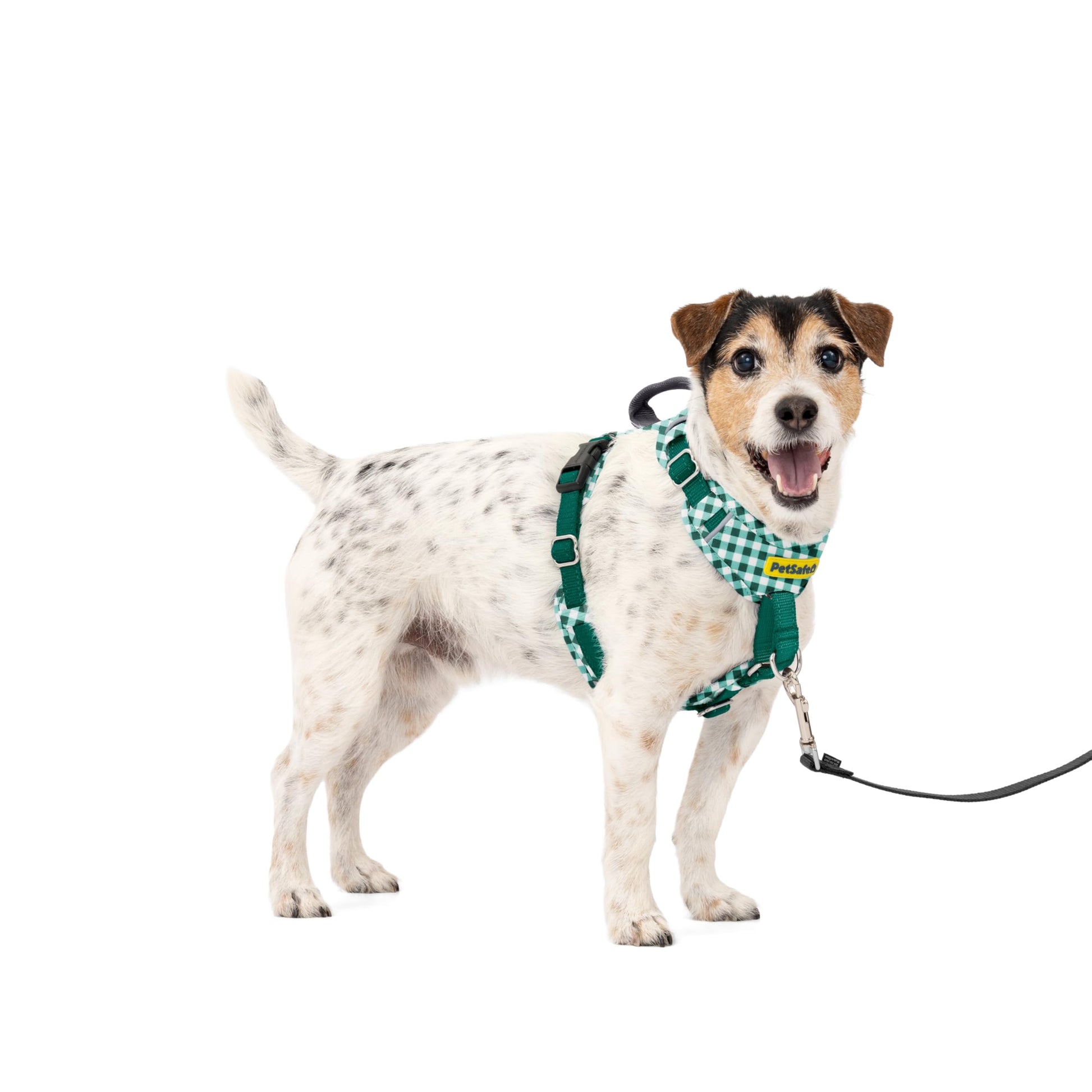 PetSafe Easy Walk Comfort No Pull Dog Harness, Green Gingham, Large | Stops Pulling on First Use with Front Martingale Loop, Padded Comfort, 5-Point Adjustable Fit
