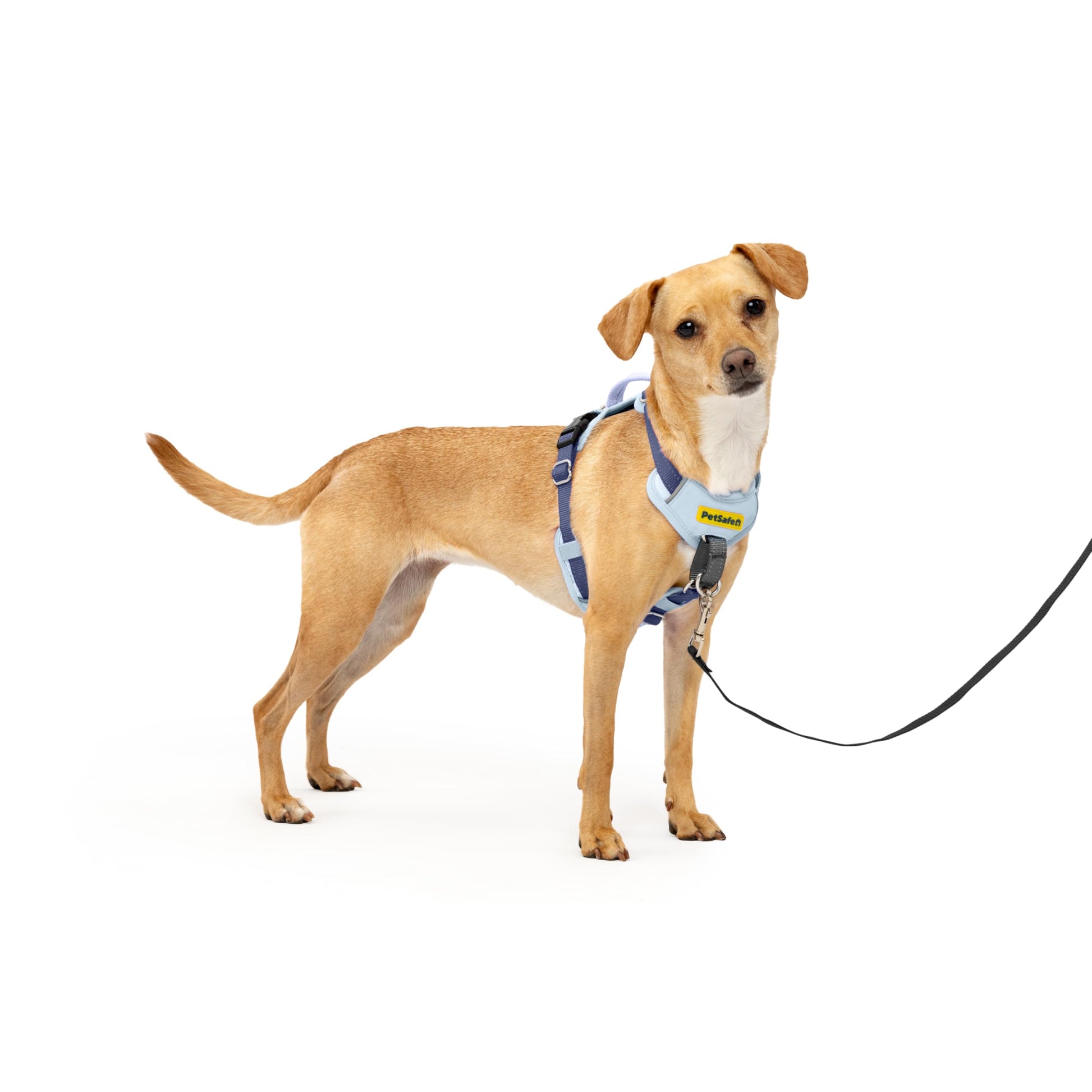 PetSafe Easy Walk Comfort No Pull Dog Harness, Green Gingham, Large | Stops Pulling on First Use with Front Martingale Loop, Padded Comfort, 5-Point Adjustable Fit