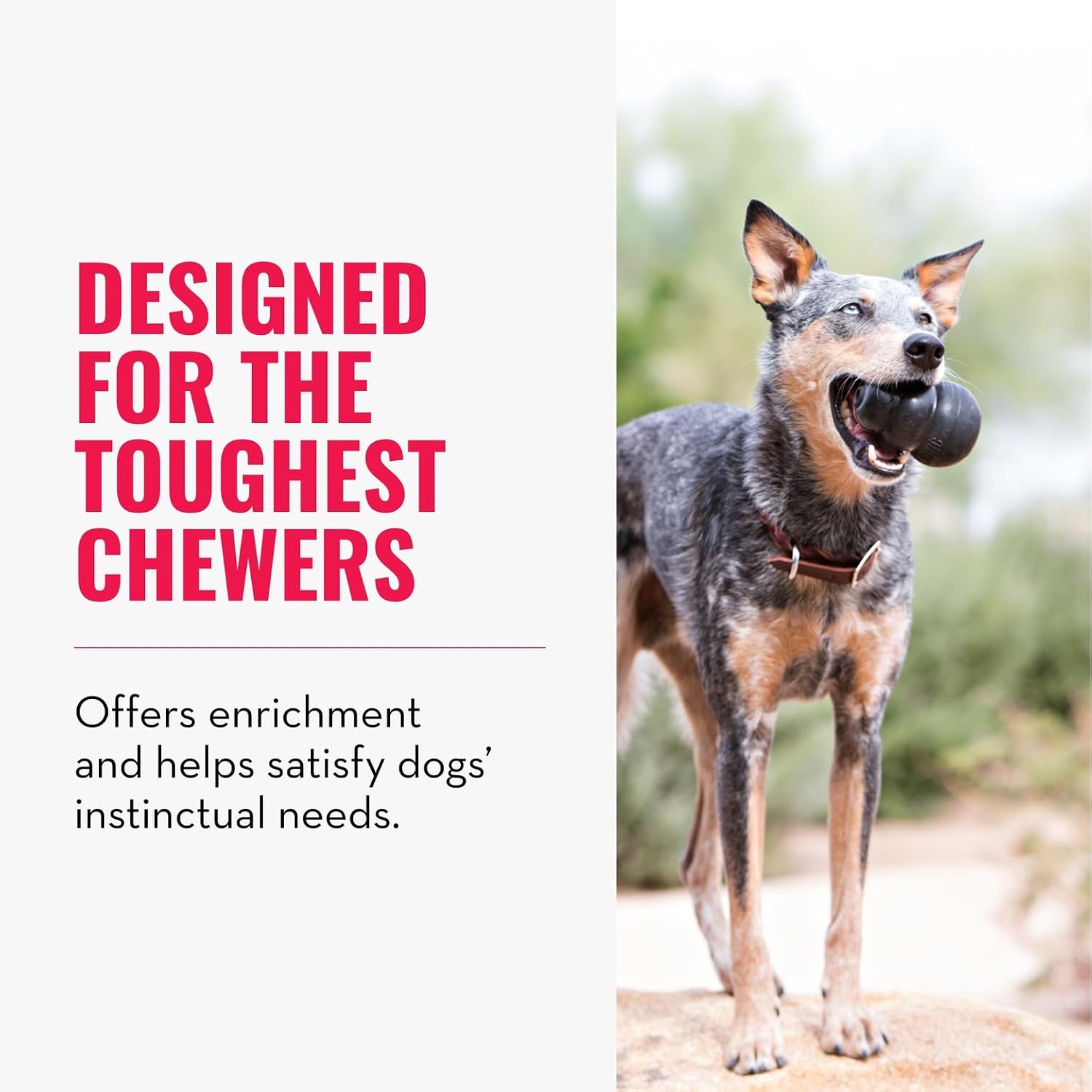 KONG Extreme Dog Toy, Durable Natural Rubber Chew, for Large Dogs | Treat-Filling Chew & Fetch Toy with Erratic Bounce, Made from KONG's Most Durable Natural Rubber for Power Chewers