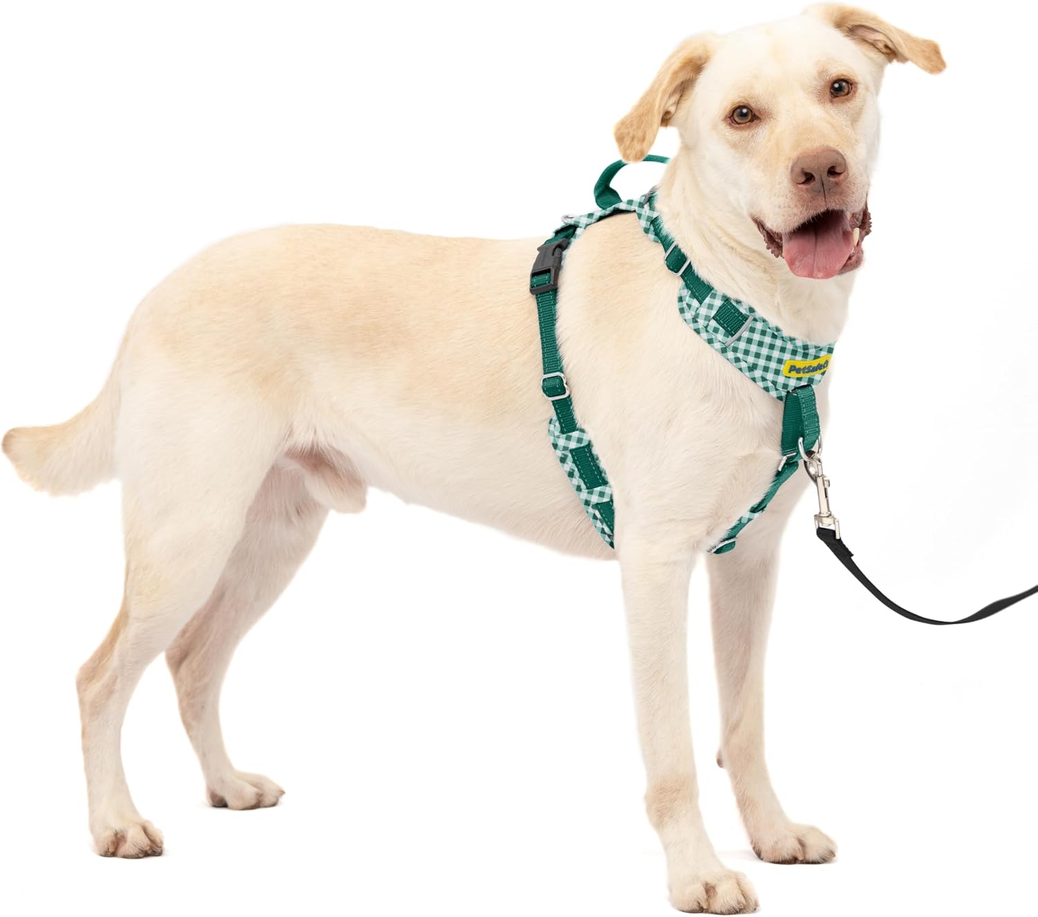 PetSafe Easy Walk Comfort No Pull Dog Harness, Green Gingham, Large | Stops Pulling on First Use with Front Martingale Loop, Padded Comfort, 5-Point Adjustable Fit