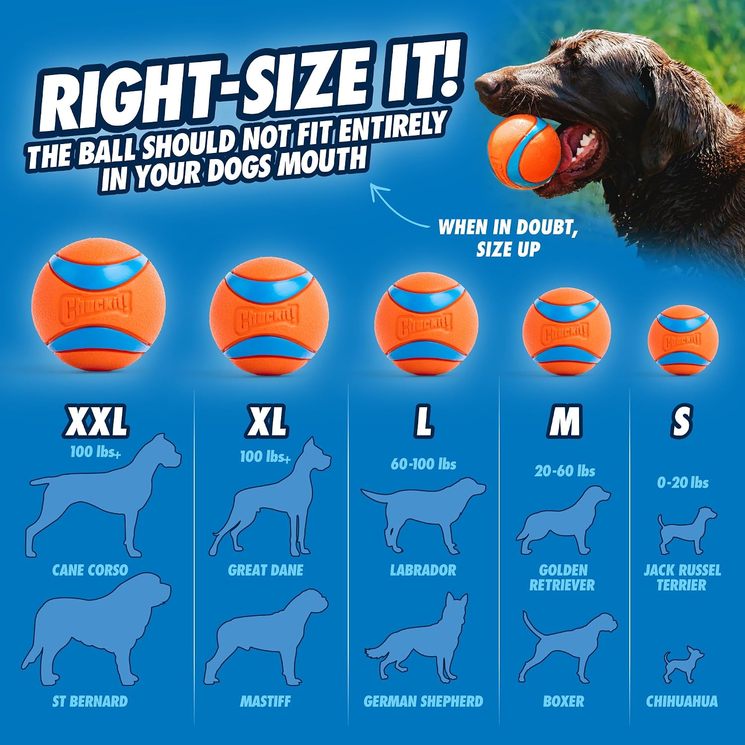 Chuckit! Classic 26M Dog Ball Launcher, 26" Long Handle Compatible with Medium (2.5") Balls, Pet Fetch Thrower Toys, For Dogs 20-60 Pounds, Made in USA, Comes with 1 Medium Ultra DogBall