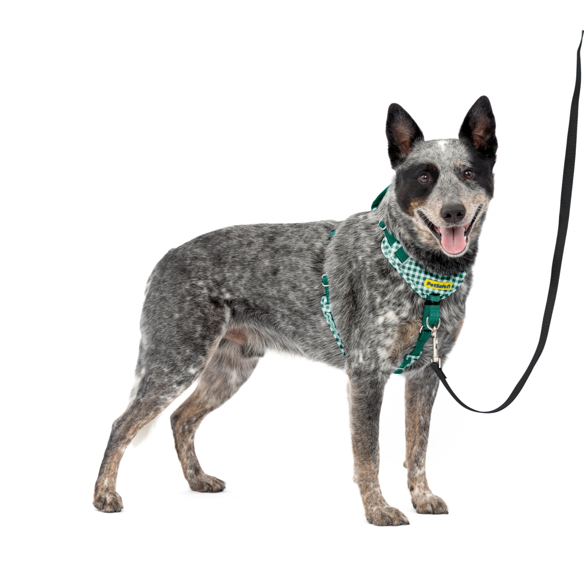 PetSafe Easy Walk Comfort No Pull Dog Harness, Green Gingham, Large | Stops Pulling on First Use with Front Martingale Loop, Padded Comfort, 5-Point Adjustable Fit